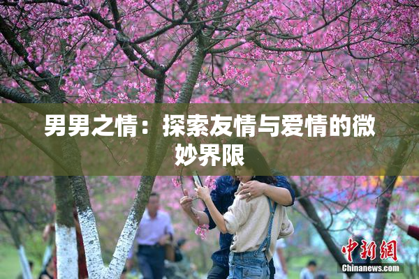 男男之情：探索友情与爱情的微妙界限