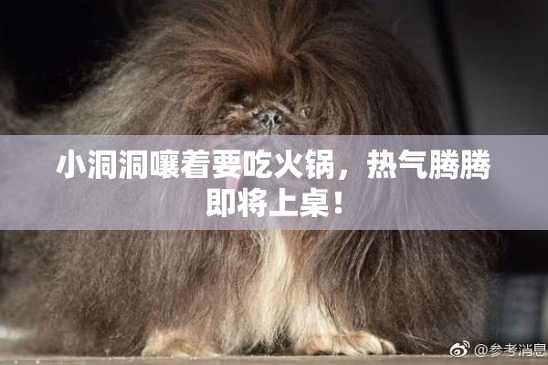 小洞洞嚷着要吃火锅，热气腾腾即将上桌！
