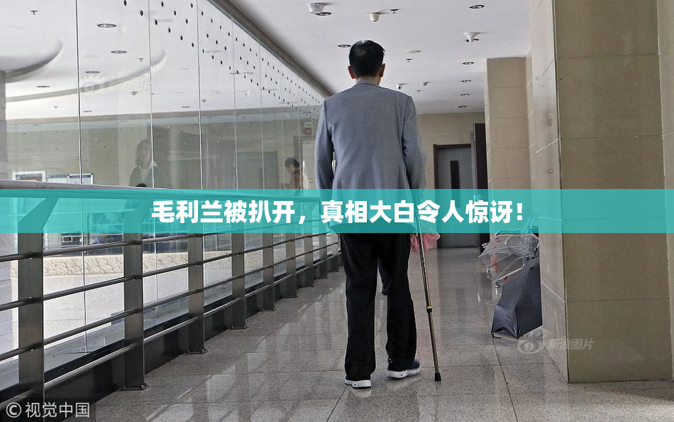 毛利兰被扒开，真相大白令人惊讶！