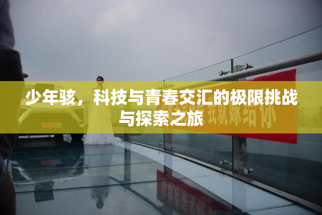 少年骇，科技与青春交汇的极限挑战与探索之旅