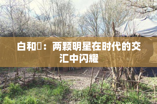 白和晄：两颗明星在时代的交汇中闪耀