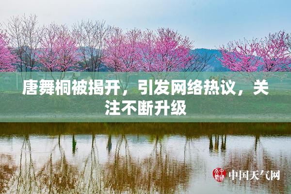 唐舞桐被揭开，引发网络热议，关注不断升级