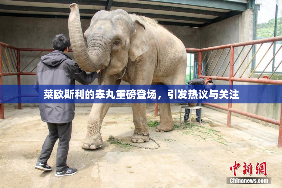 莱欧斯利的睾丸重磅登场，引发热议与关注