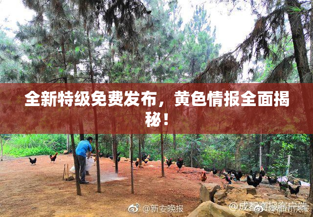 全新特级免费发布，黄色情报全面揭秘！