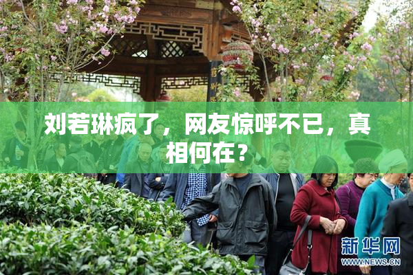 刘若琳疯了，网友惊呼不已，真相何在？