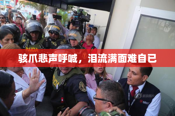 骇爪悲声呼喊，泪流满面难自已
