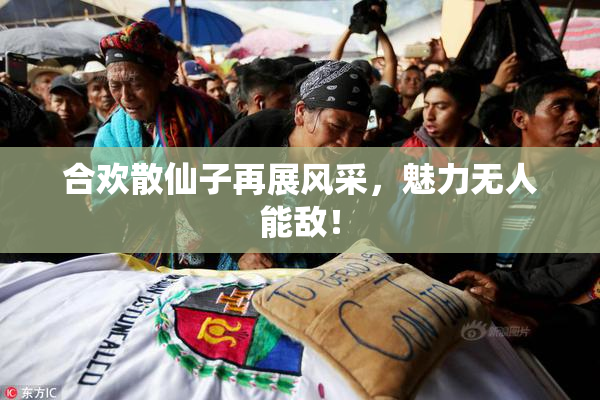 合欢散仙子再展风采，魅力无人能敌！