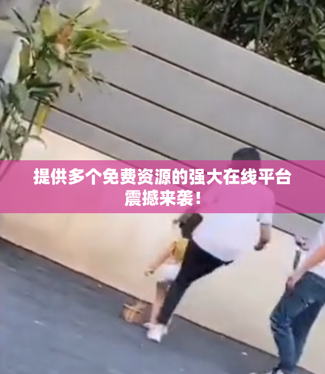 提供多个免费资源的强大在线平台震撼来袭！