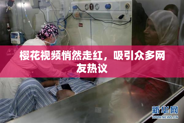 樱花视频悄然走红，吸引众多网友热议