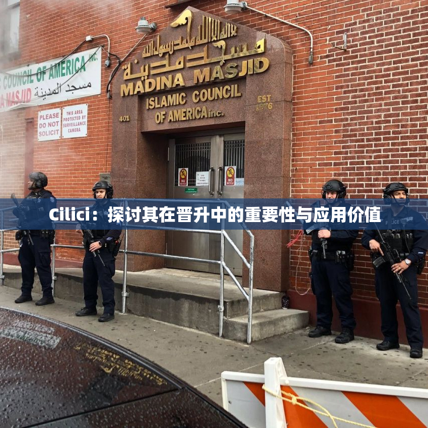 Cilici：探讨其在晋升中的重要性与应用价值