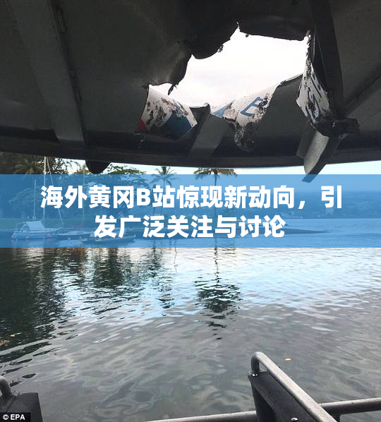 海外黄冈B站惊现新动向，引发广泛关注与讨论