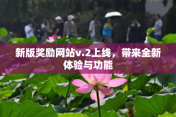 新版奖励网站v.2上线，带来全新体验与功能