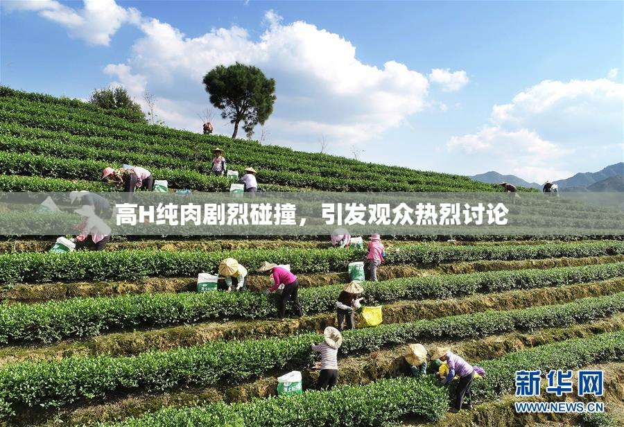 高H纯肉剧烈碰撞，引发观众热烈讨论