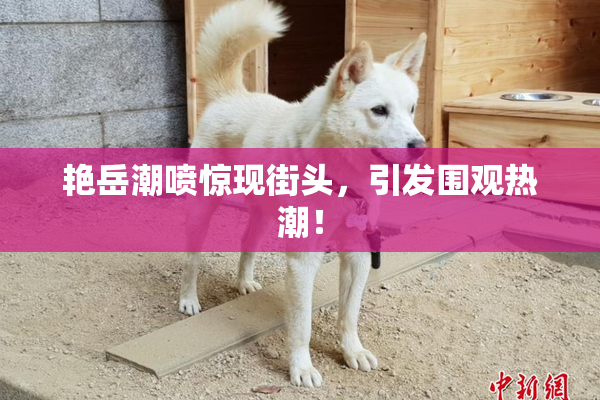 艳岳潮喷惊现街头，引发围观热潮！