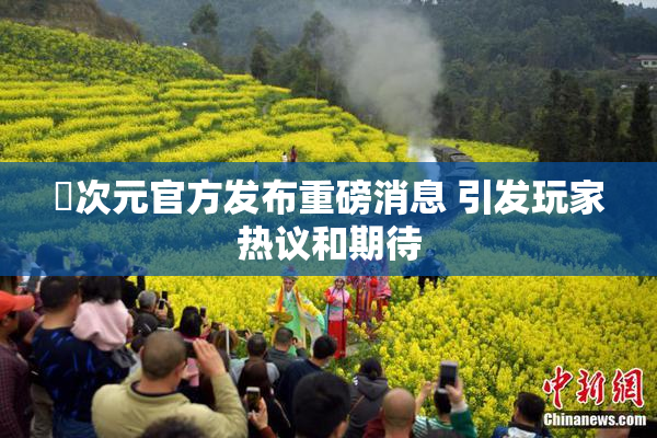 囧次元官方发布重磅消息 引发玩家热议和期待