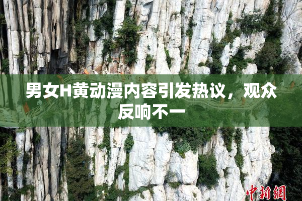 男女H黄动漫内容引发热议，观众反响不一