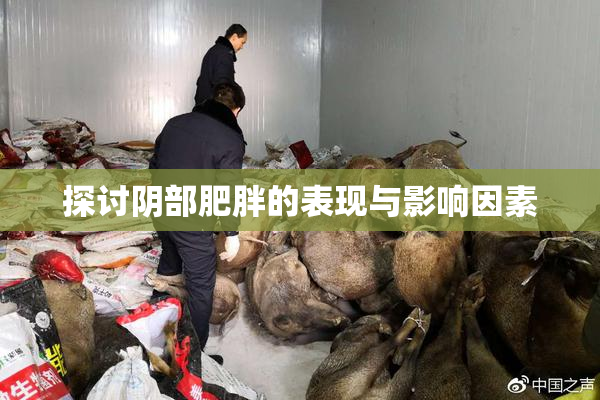 探讨阴部肥胖的表现与影响因素