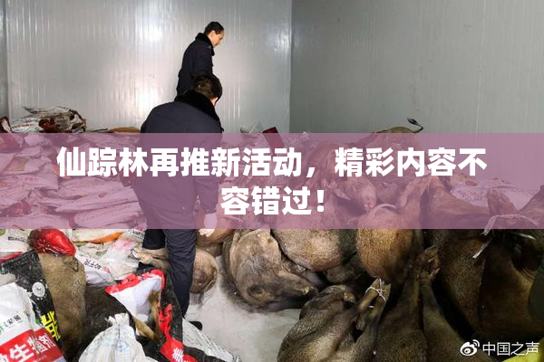 仙踪林再推新活动，精彩内容不容错过！