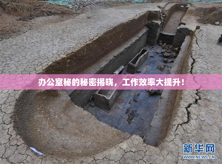 办公室秘的秘密揭晓，工作效率大提升！