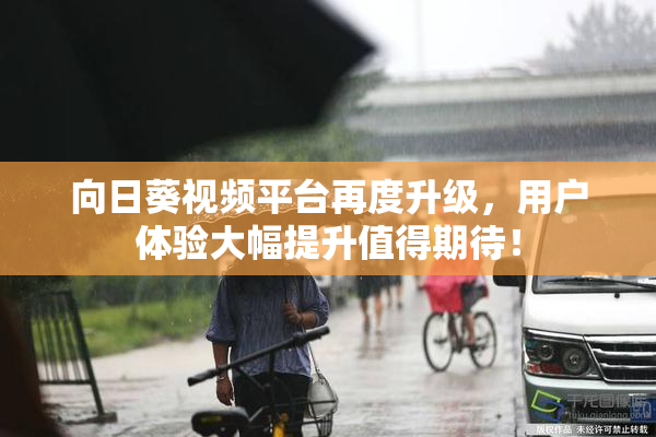 向日葵视频平台再度升级，用户体验大幅提升值得期待！