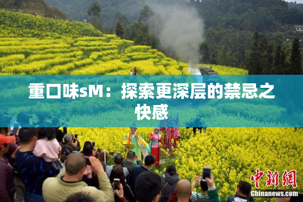 重口味sM：探索更深层的禁忌之快感
