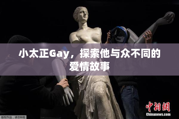小太正Gay，探索他与众不同的爱情故事