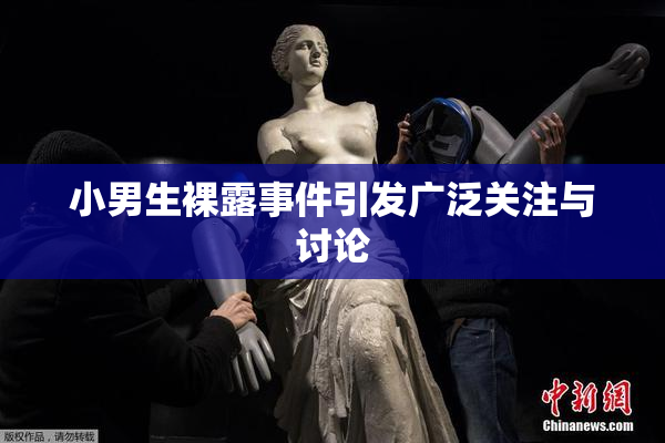 小男生裸露事件引发广泛关注与讨论