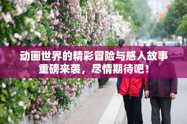 动画世界的精彩冒险与感人故事重磅来袭，尽情期待吧！