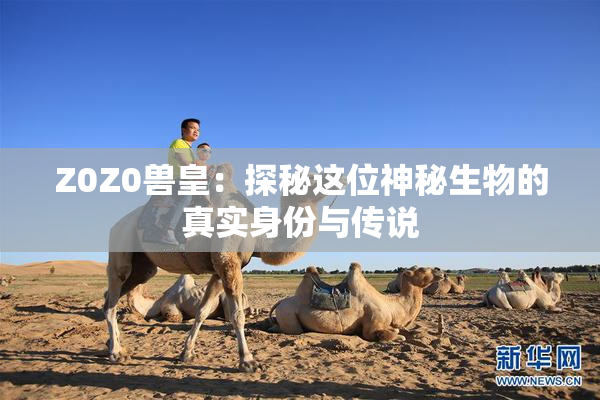 Z0Z0兽皇：探秘这位神秘生物的真实身份与传说