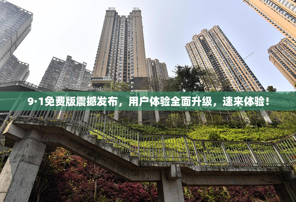 9·1免费版震撼发布，用户体验全面升级，速来体验！
