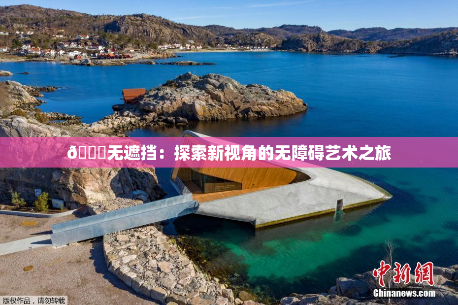 🔞无遮挡：探索新视角的无障碍艺术之旅
