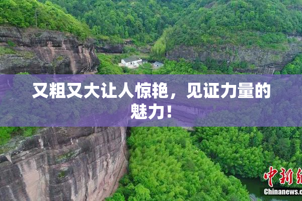 又粗又大让人惊艳，见证力量的魅力！
