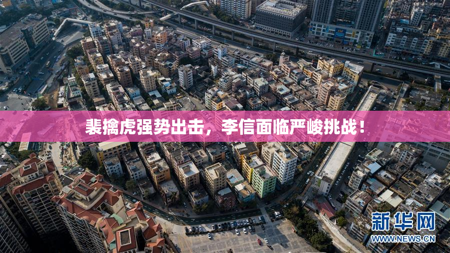 裴擒虎强势出击，李信面临严峻挑战！