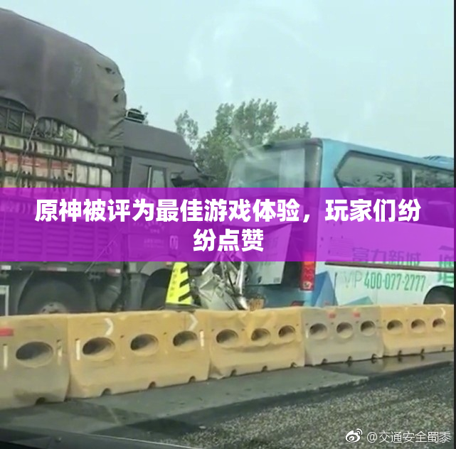 原神被评为最佳游戏体验，玩家们纷纷点赞