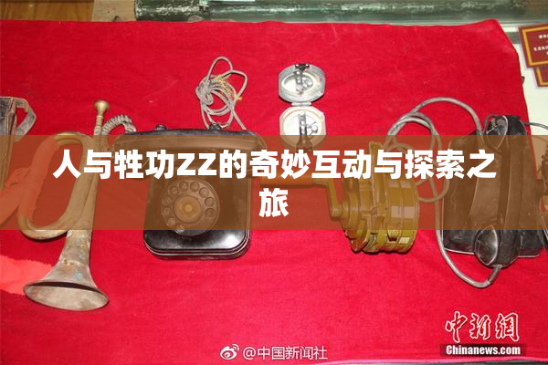 人与牲功ZZ的奇妙互动与探索之旅