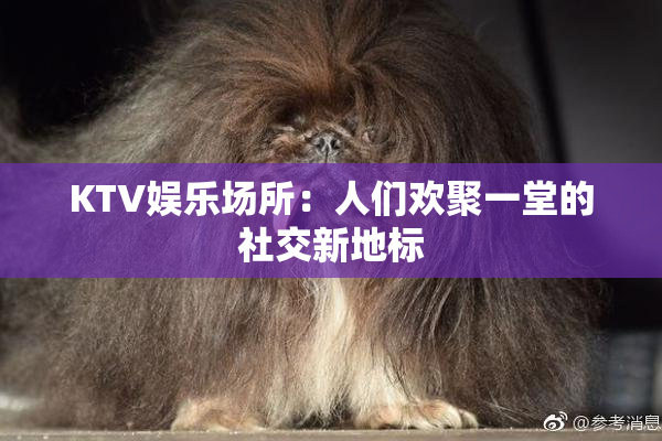 KTV娱乐场所：人们欢聚一堂的社交新地标