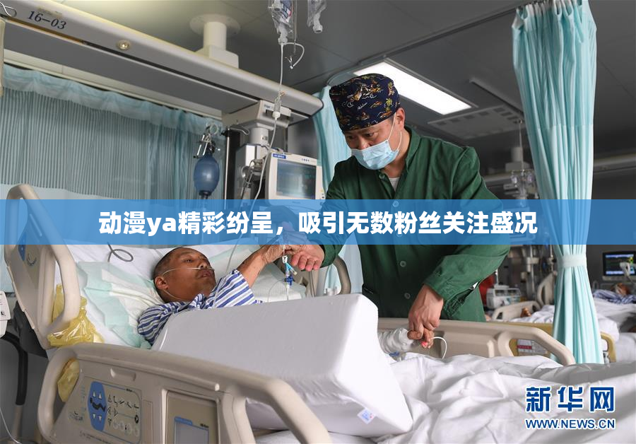 动漫ya精彩纷呈，吸引无数粉丝关注盛况