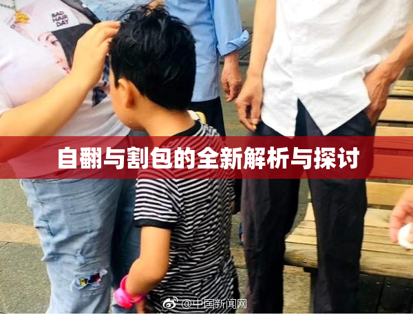 自翻与割包的全新解析与探讨