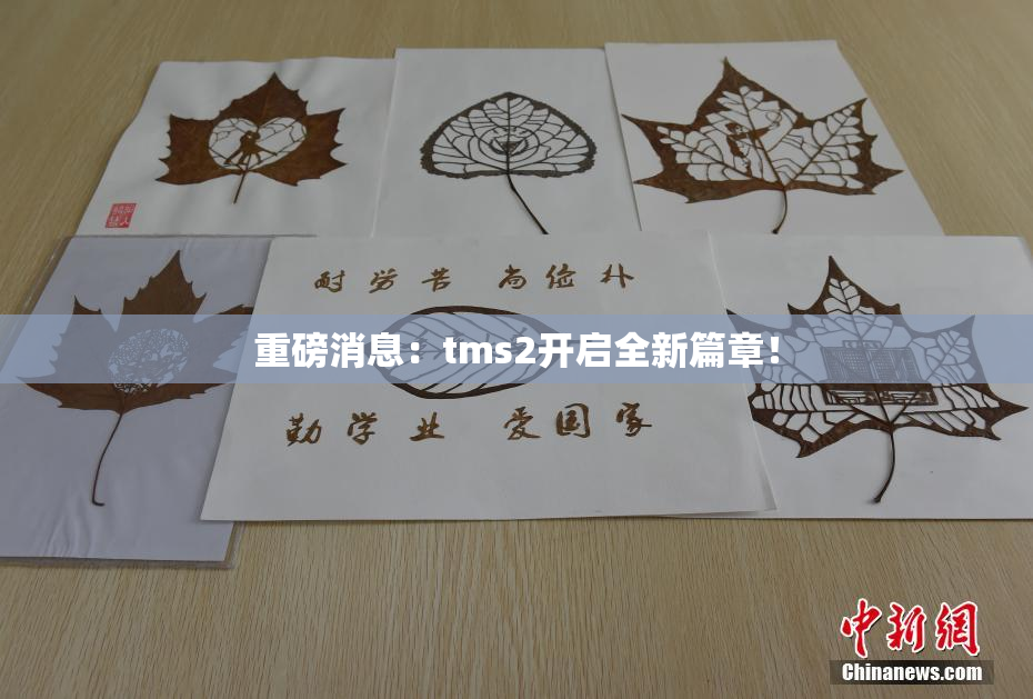 重磅消息：tms2开启全新篇章！