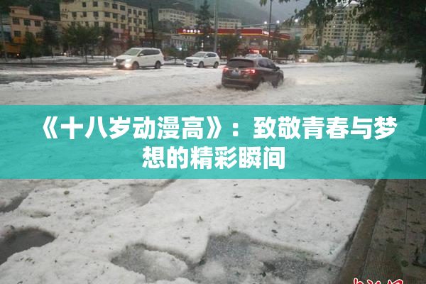 《十八岁动漫高》：致敬青春与梦想的精彩瞬间