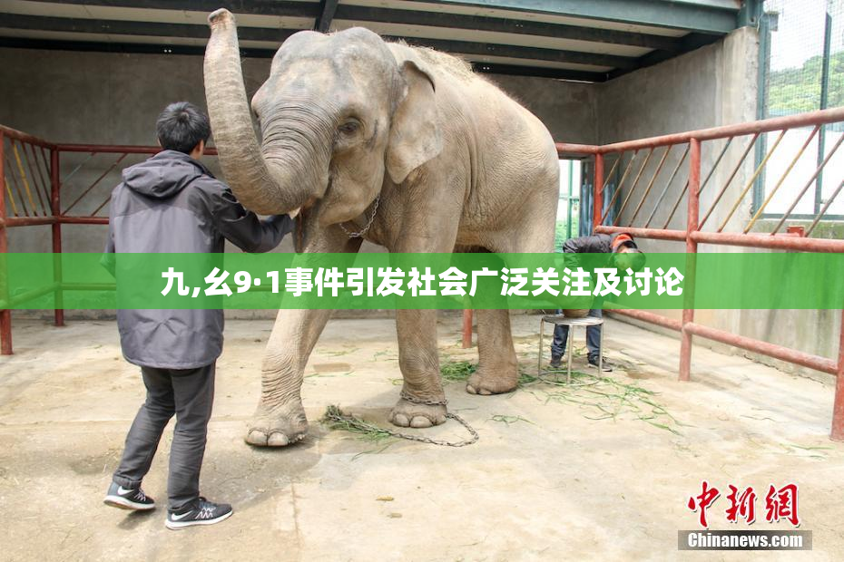 九,幺9·1事件引发社会广泛关注及讨论