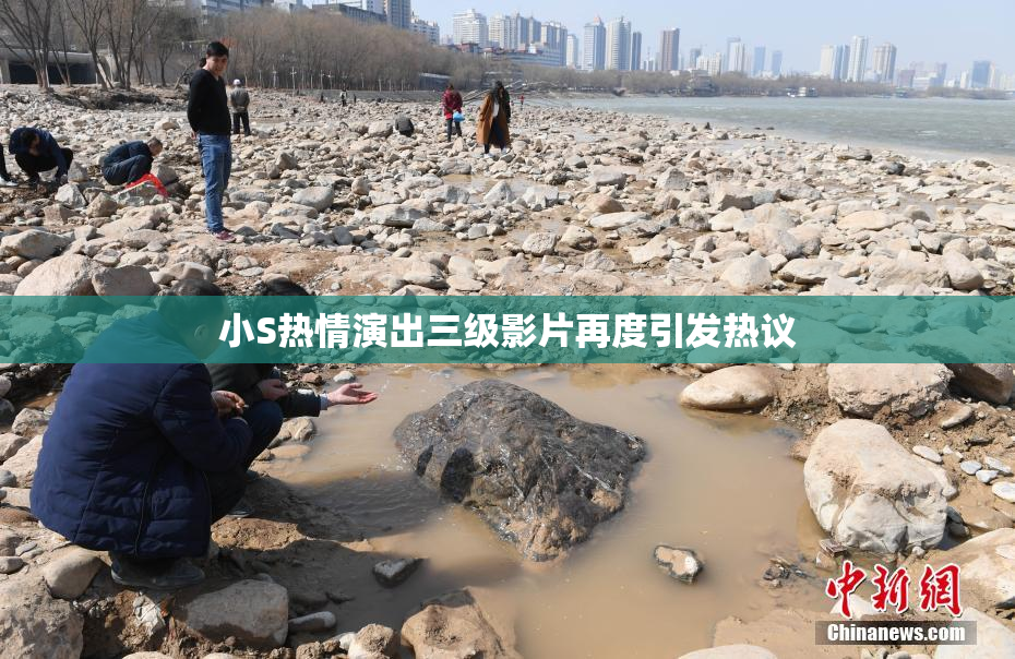 小S热情演出三级影片再度引发热议