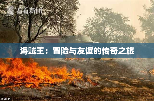 海贼王：冒险与友谊的传奇之旅