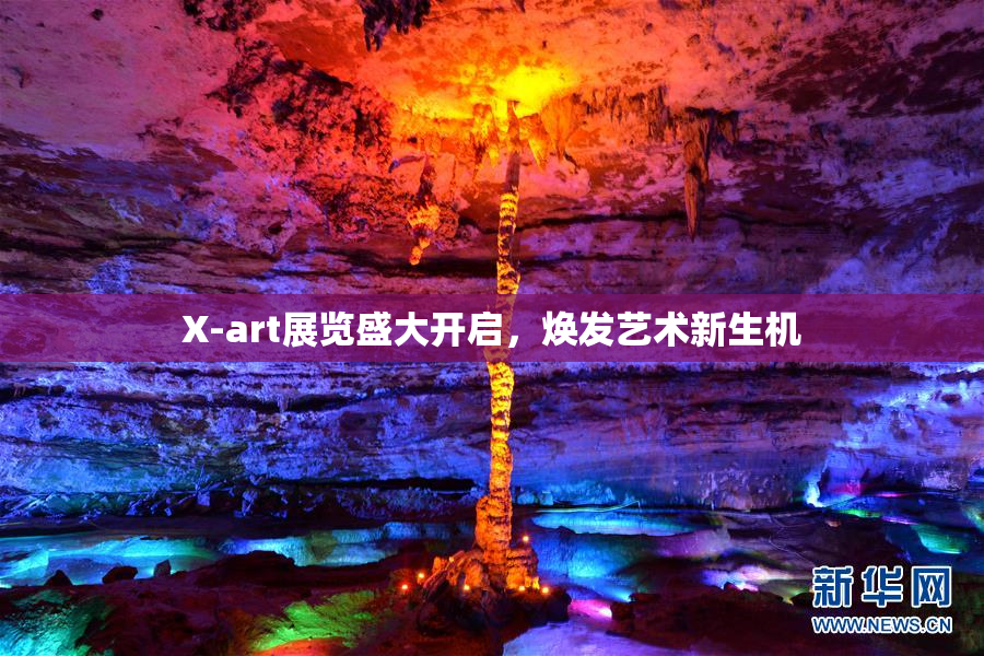 X-art展览盛大开启，焕发艺术新生机