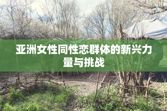 亚洲女性同性恋群体的新兴力量与挑战