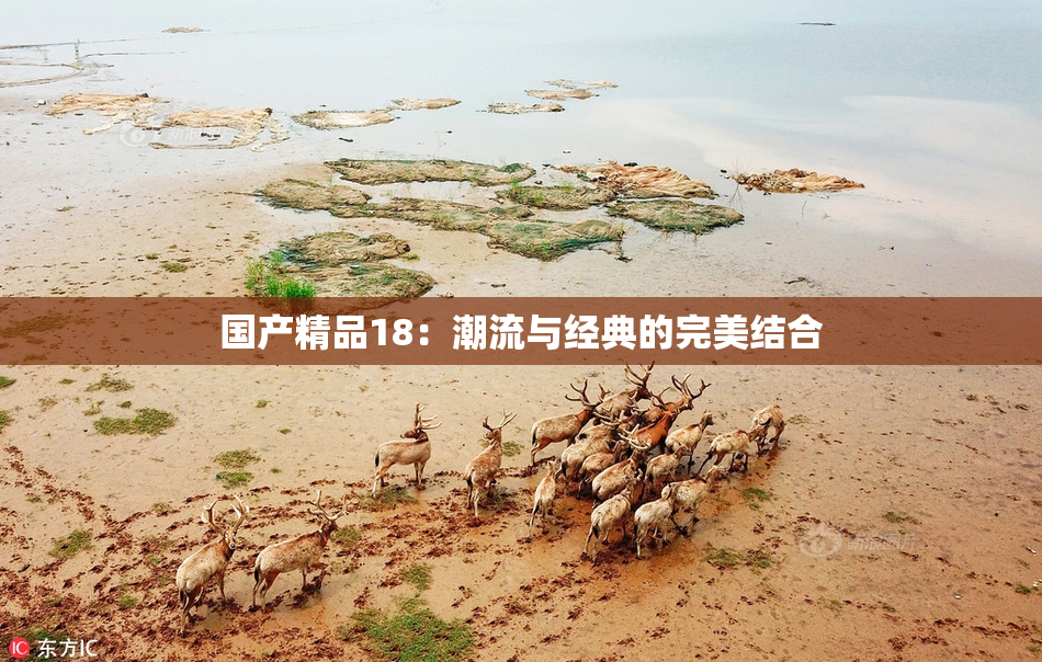 国产精品18：潮流与经典的完美结合