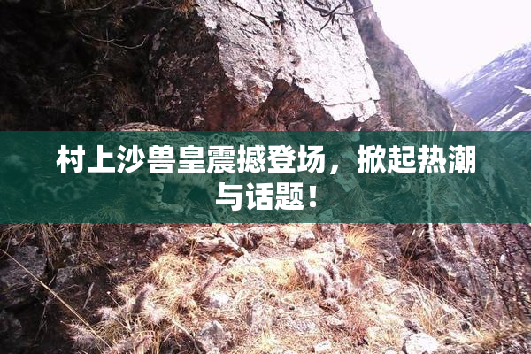 村上沙兽皇震撼登场，掀起热潮与话题！
