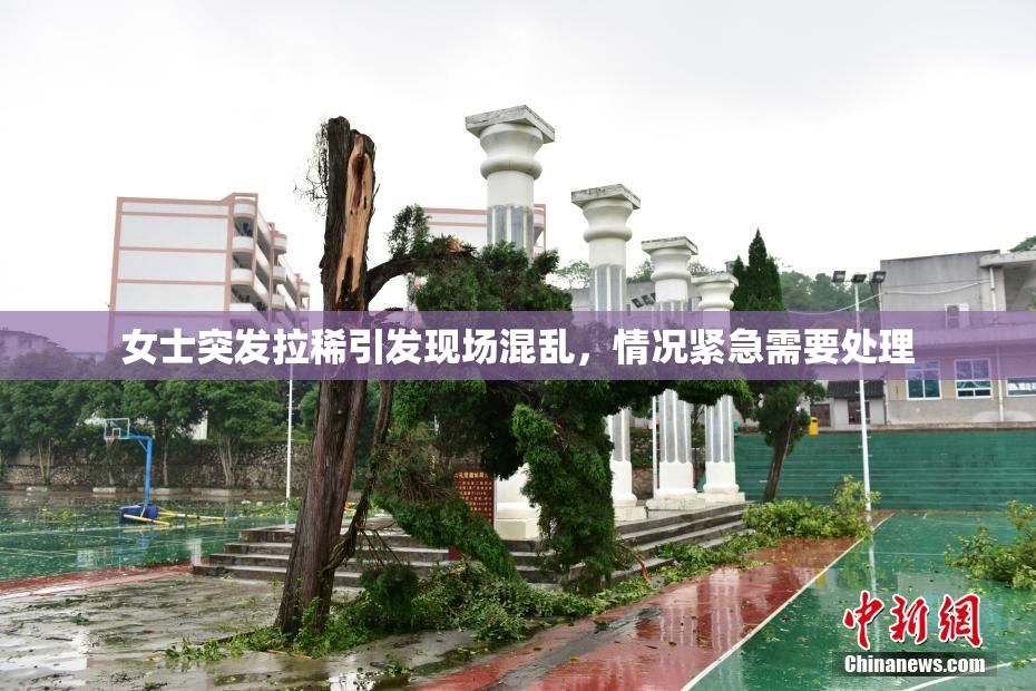 女士突发拉稀引发现场混乱，情况紧急需要处理