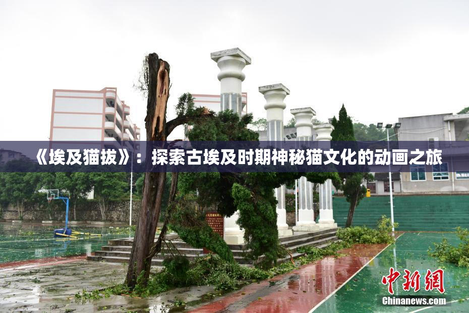 《埃及猫拔》：探索古埃及时期神秘猫文化的动画之旅