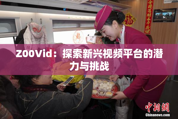 Z00Vid：探索新兴视频平台的潜力与挑战
